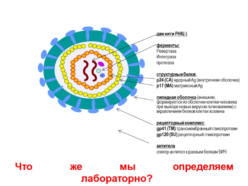 Что же мы определяем          